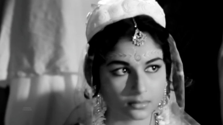 кадр из фильма Sesh Anka