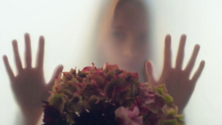 кадр из фильма Мой ангел