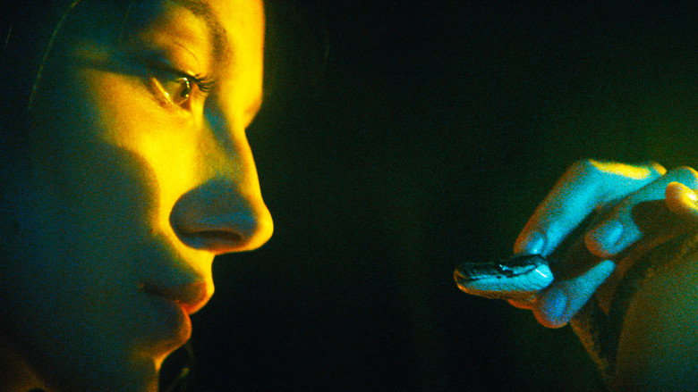 кадр из фильма The Python Hunt