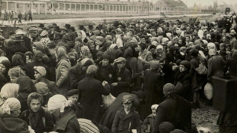 кадр из фильма Ein Tag in Auschwitz