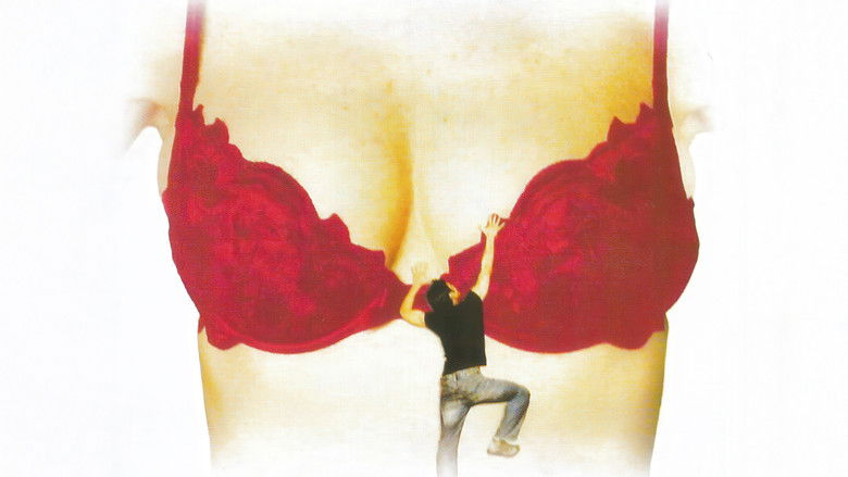 кадр из фильма Les Amazones