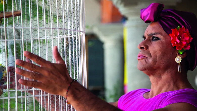 кадр из фильма Finlandia