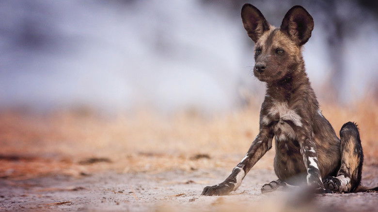 кадр из фильма The Flood