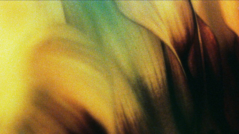 кадр из фильма Glide of Transparency