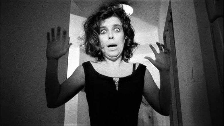 кадр из фильма The Secret Cinema