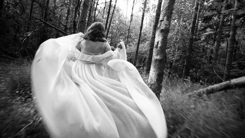 кадр из фильма Exvallis