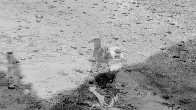 кадр из фильма raindrops