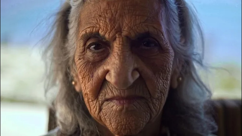 Saber Sumud Palestina: Les arrels d’una terra