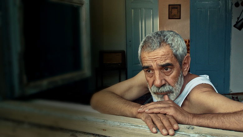 кадр из фильма Vicdan Ağacı