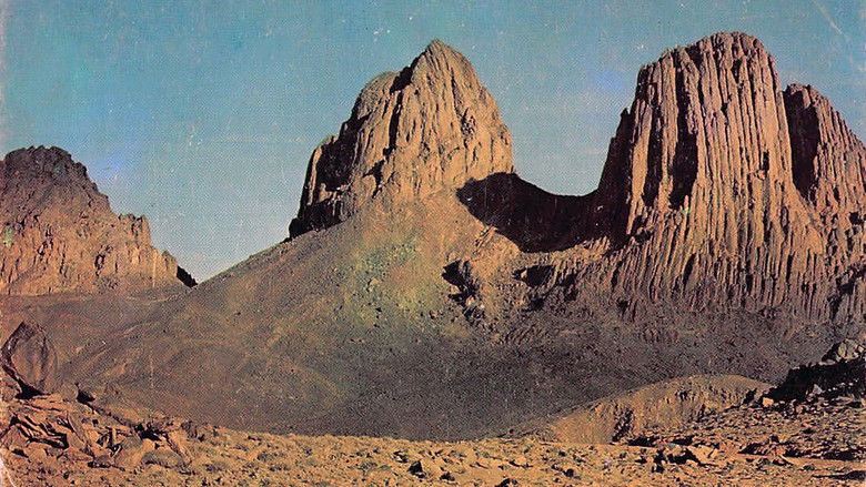 Соль и камень