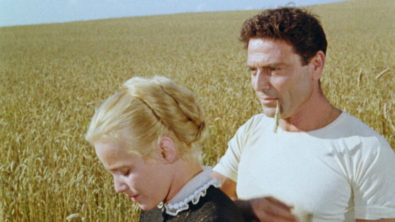 кадр из фильма Роза Бернд