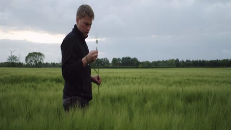 кадр из фильма Born for Korn