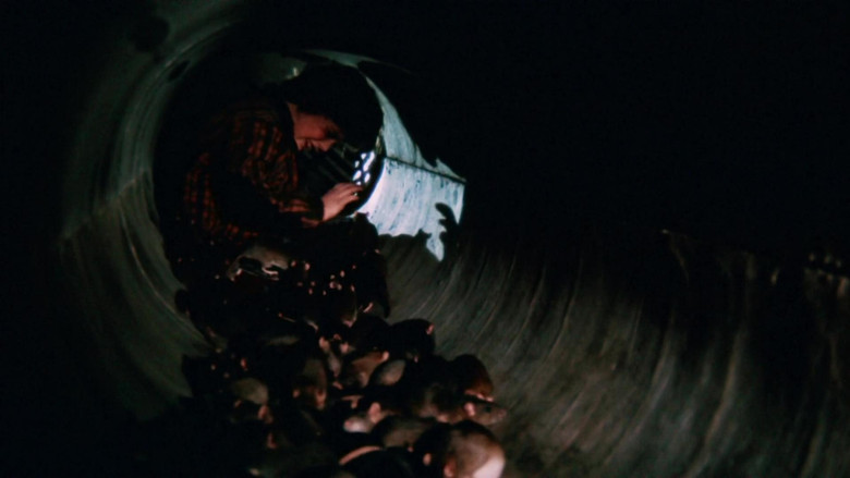 кадр из фильма Бен