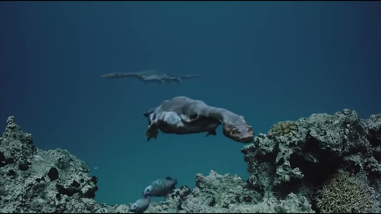 кадр из фильма Морские динозавры 3D: Путешествие в доисторический мир