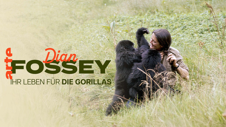 кадр из фильма Dian Fossey: Ihr Leben für die Gorillas