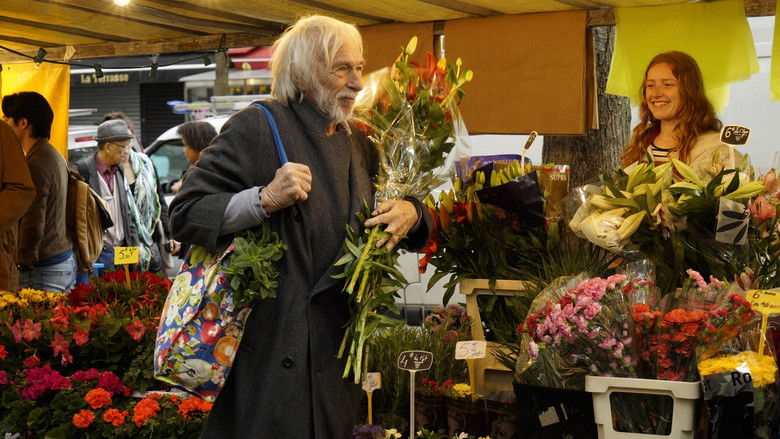 кадр из фильма Мистер Штайн идёт в онлайн