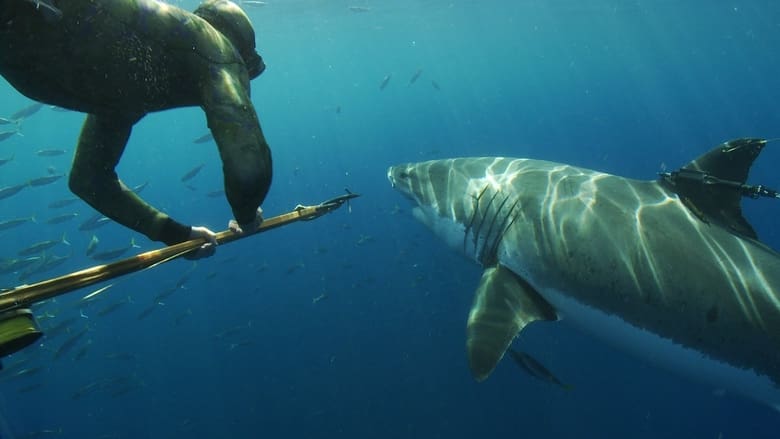 кадр из фильма Great White Shark: Beyond the Cage of Fear