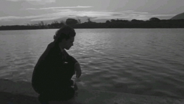 кадр из фильма Primaveras