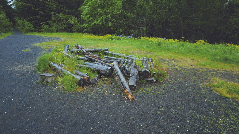 кадр из фильма Between The Living & The Dead, The Lovers Reside