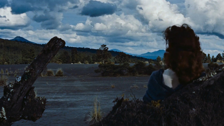 кадр из фильма Сад зла