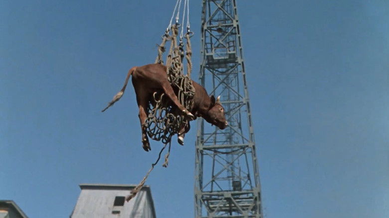 кадр из фильма Человек-амфибия