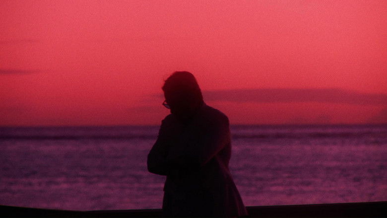 кадр из фильма Filmoteca de Catalunya 10 anys al Raval