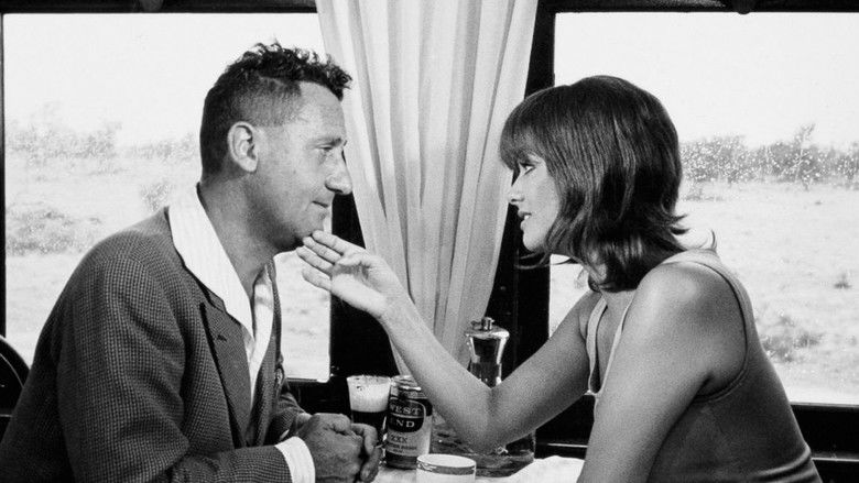 кадр из фильма Красивый, честный эмигрант в Австралии хотел бы жениться на девушке-соотечественнице