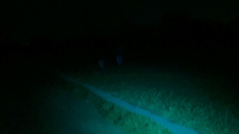 кадр из фильма Port Meadow