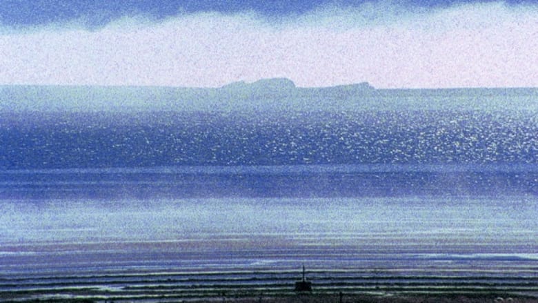 кадр из фильма A Child’s Garden and the Serious Sea