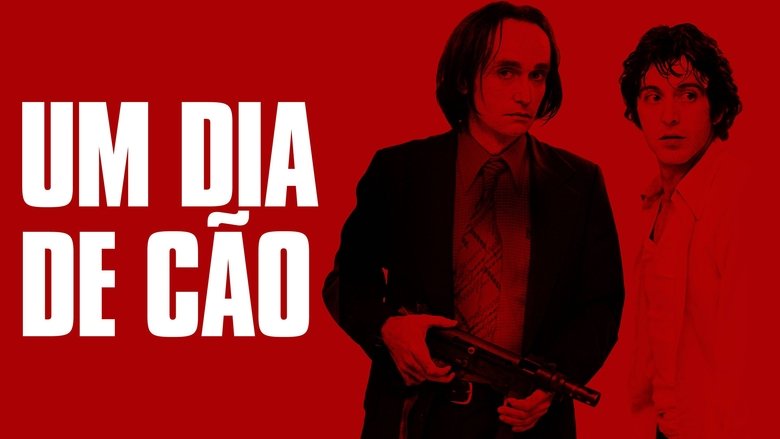 кадр из фильма Собачий полдень