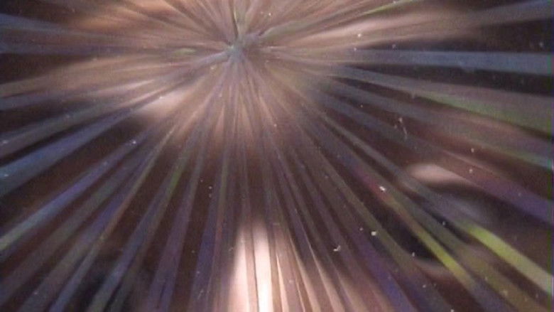 кадр из фильма うたぐるい