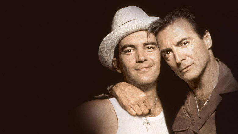 кадр из фильма Короли мамбо