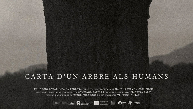 кадр из фильма Carta d’un arbre als humans