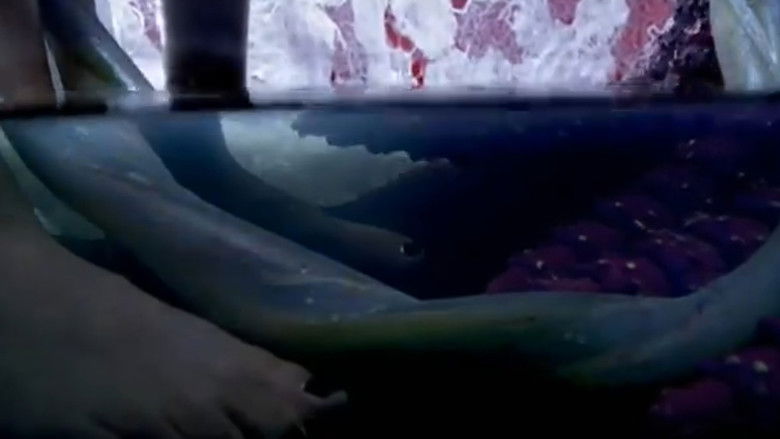 кадр из фильма Egg