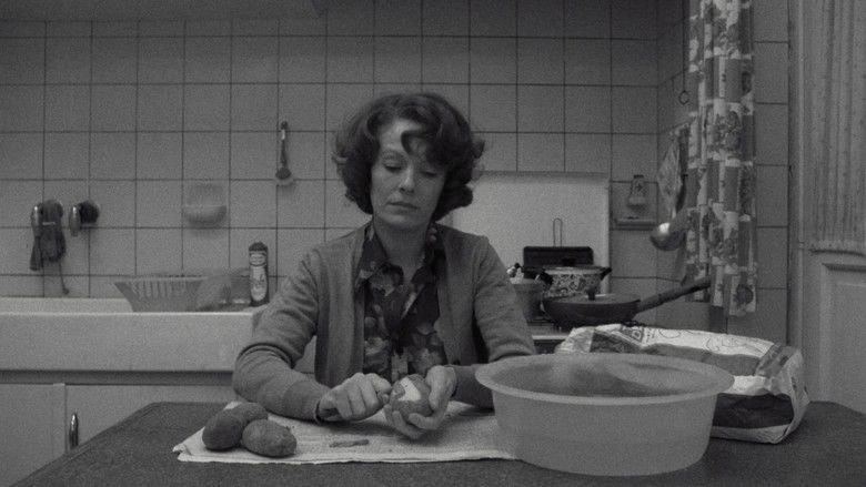 кадр из фильма Жанна Дильман, набережная Коммерции 23, Брюссель 1080