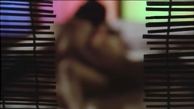 痴漢電車 後ろからも愛して