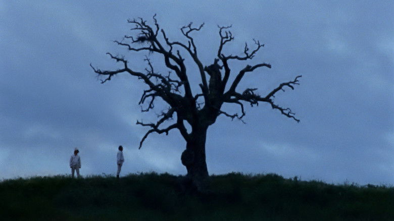 кадр из фильма Bella e perduta