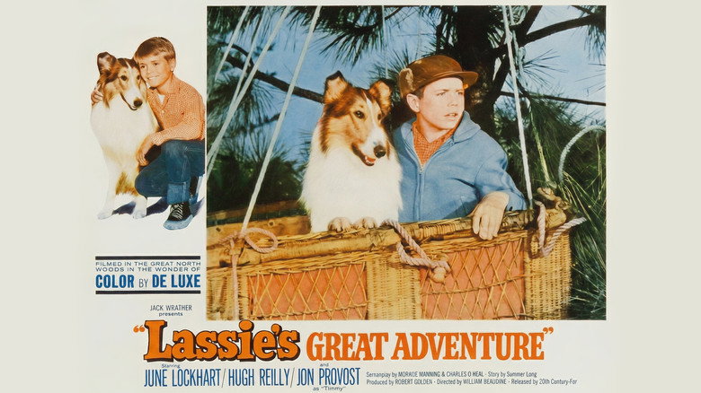 кадр из фильма Lassie's Great Adventure