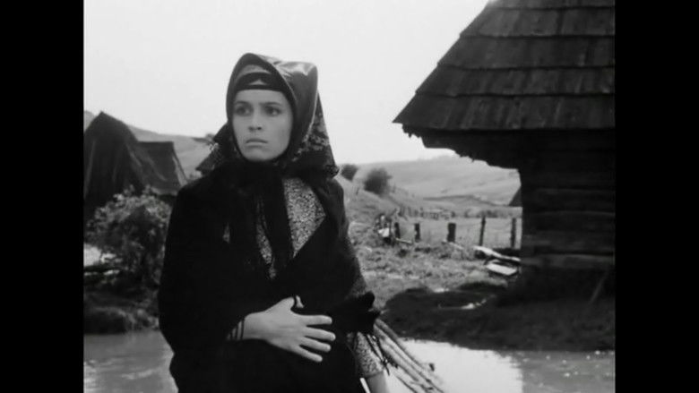 кадр из фильма Živý bič