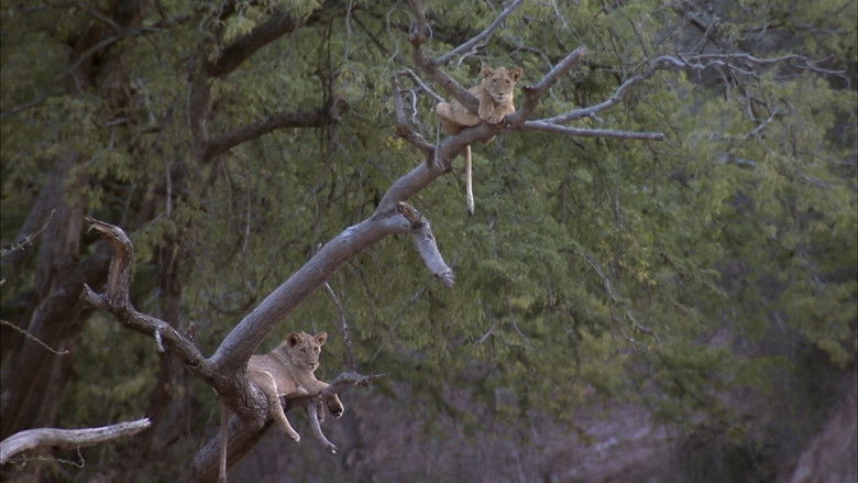 кадр из фильма Predator's Playground