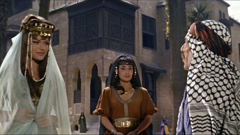 кадр из фильма Il figlio dello sceicco