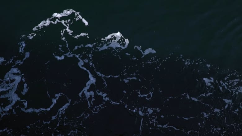 кадр из фильма La trajectoire des marées