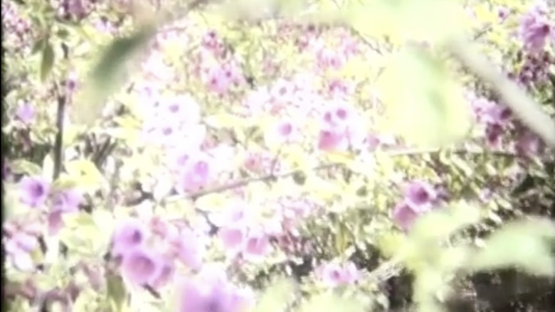 кадр из фильма Aubade