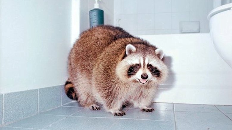 кадр из фильма Tower