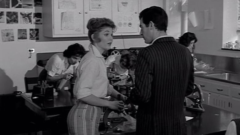 кадр из фильма Violent Midnight