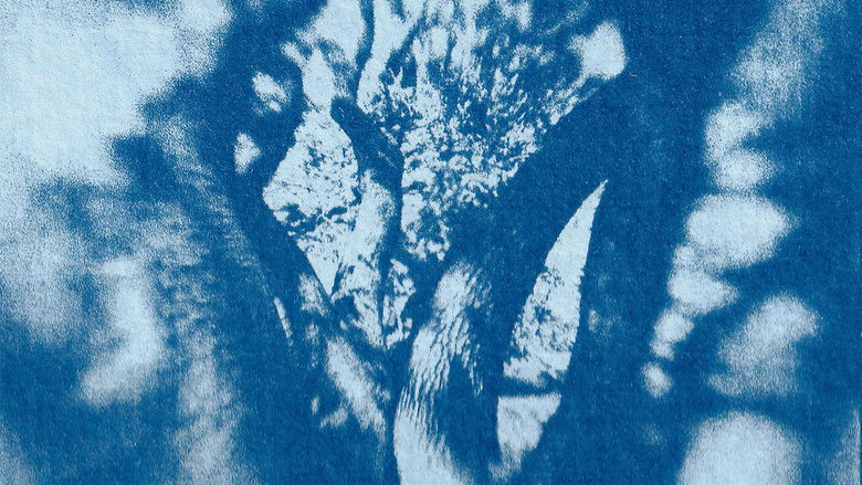 кадр из фильма Farewell, My Tree