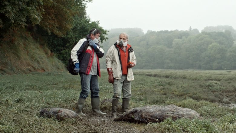 кадр из фильма Зеленые водоросли