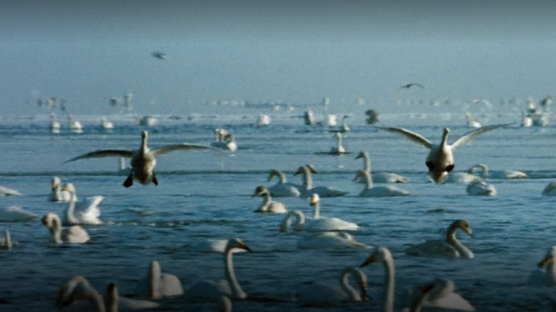 кадр из фильма 札幌オリンピック