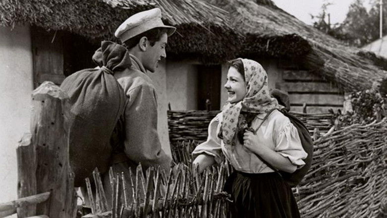 кадр из фильма Северная звезда