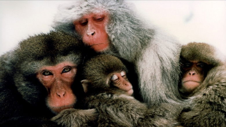 кадр из фильма Le Peuple singe